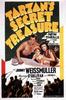 泰山的秘密宝藏/Tarzan's Secret Treasure