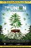 大麻调查(2007)