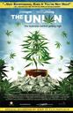 大麻调查/The Union: The Business Behind Getting High(2007)