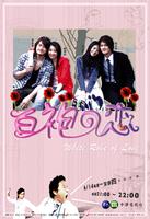 白袍之恋/White Role Of Love(2006)