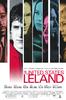 利蓝的美国/The United States of Leland(2003)