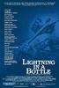 瓶中闪电/Lightning in a Bottle(2004)