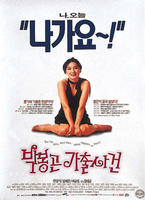 朴峰坤离家事件The Adventures of Mrs Park (1996)