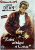 无因的反抗/Rebel Without a Cause