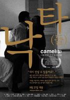 骆驼(们)Nakta (2002)
