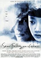 落在香杉树的雪花Snow Falling on Cedars (1999)