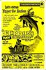 动感小水拍新历险记/Flipper's New Adventure(1964)