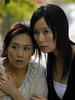 华丽冒险(2007)