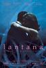马缨丹/Lantana(2001)