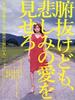 悲情家族/Funuke domo, kanashimi no ai wo misero(2007)