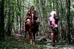 骑士梦Honor de cavalleria (2006)
