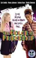 友情的颜色The Color of Friendship (2000)
