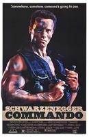 独闯龙潭Commando (1985)