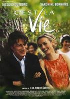这就是人生C'est la vie (2001)