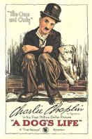 狗的生活A Dog's Life (1918)