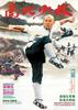 南北少林/Nan bei Shao Lin