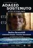 沉着的慢板/Adagio sostenuto(2008)