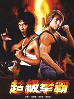 超级拳霸Dragon The Master (2004)