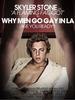 洛杉矶让男人变成同志/Why Men Go Gay in L.A.