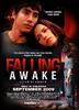 渐渐醒来/Falling Awake(2009)