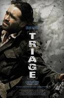 验伤Triage (2009)