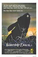 海底沉舟Watership Down (1978)