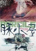 猪圈Porcile (1969)