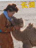 长调(2007)