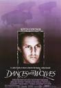 与狼共舞/Dances with Wolves(1990)