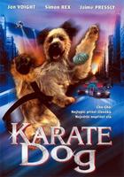 功夫神犬The Karate Dog (2004)