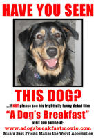 狗的早餐A Dog's Breakfast (2007)