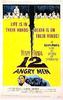 十二怒汉/12 Angry Men(1957)