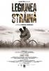 外籍军团/Legiunea straina(2008)
