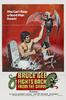 美国访问客/Bruce Lee Fights Back from the Grave