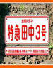 特急田中3号(2007)