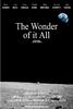 所有的奇迹/The Wonder of It All(2007)