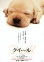 导盲犬小Q/Quill(2004)