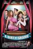 不知羞耻/A Dirty Shame(2004)