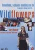 野花/Wildflowers