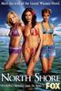 北海迷情/North Shore(2004)