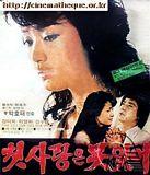 难忘初恋Cheotsalangeun moshijeo (1983)
