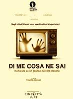 你知我几何Di me cosa ne sai (2009)