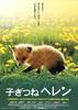 生命奇迹小狐狸/Helen the Baby Fox