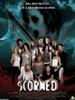 致命蔑视/The Scorned(2005)