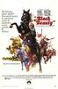 黑骏马/Black Beauty(1971)