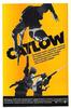 Catlow(1971)