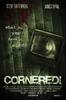 垄断/Cornered!(2008)