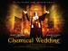化学婚礼/Chemical Wedding(2008)