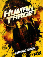 替身标靶Human Target (2010)