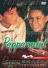 薄荷的滋味/Peppermint(1999)